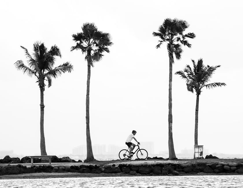 florida bike accident lawyer