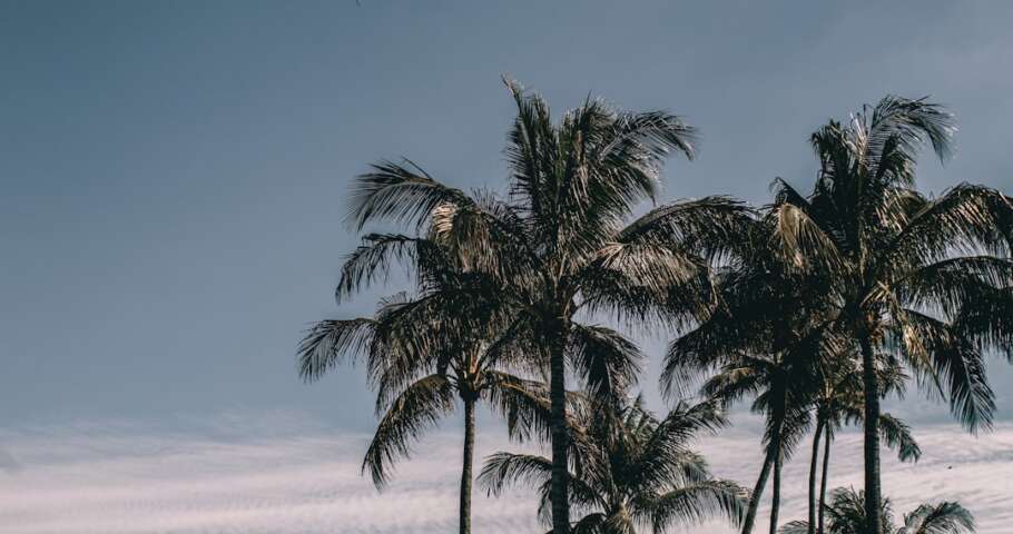 south florida injury law